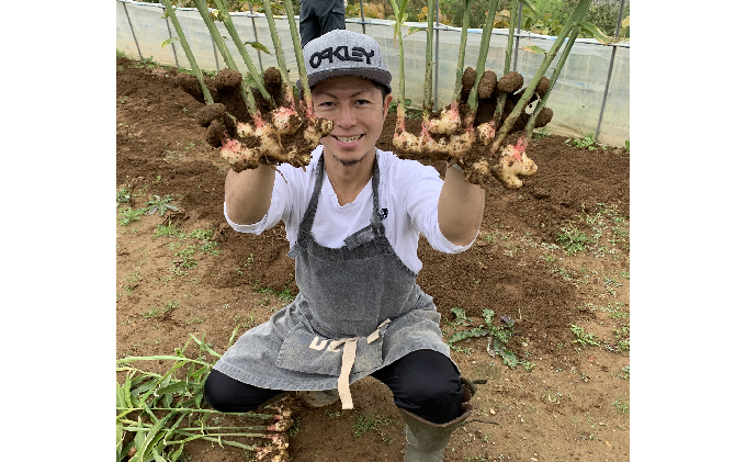 3ヵ月 定期便 仁木産アップルとグレープを使ったジンジャービア6本セット（各200ml×3本ずつ） りんご ぶどう 発酵 ジンジャー 生姜 レモン ノンアルコール 炭酸 北海道 [株式会社デリシャスフ
