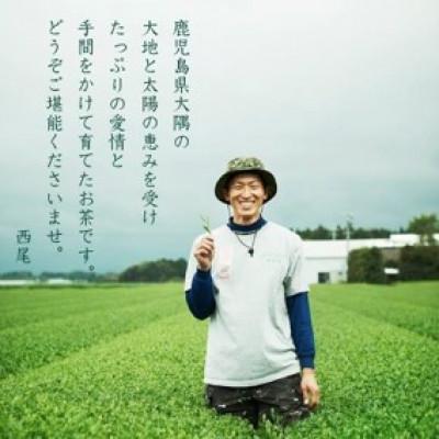 ふるさと納税 鹿屋市 かのや深蒸し煎茶　1kg(100g×10袋)、茶筒×2個　169-1 |  | 03