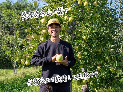 【先行予約】《特選》青森県産 りんご サンふじ 王林 約5kg りんご【11月～発送】