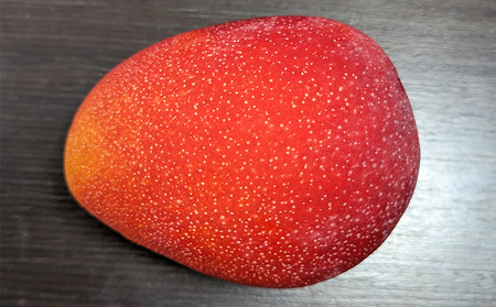 2025年発送【TROPICAL FIELD モリ之ナカ】贈答用マンゴー約2kg（4～6玉） フルーツ 果物 期間限定 数量限定 先行予約 南国 プレゼント お土産 おみやげ ギフト くだもの 沖縄 