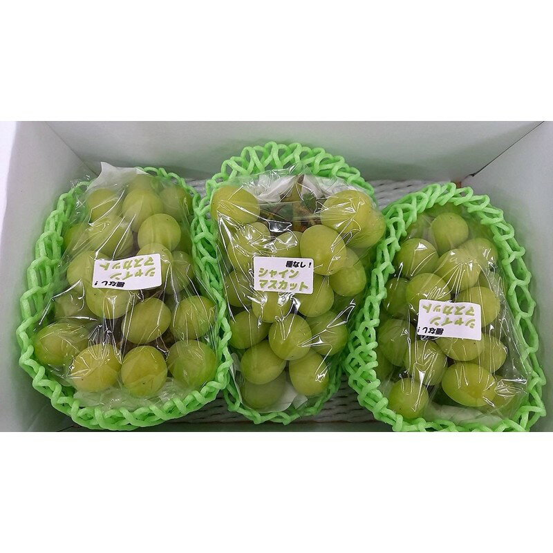 【ふるさと納税】【先行予約／数量限定50】京丹後産シャインマスカット 1.8kg以上（3房入り）（2025年9月中旬～発送) ふるさと納税 シャインマスカット マスカット しゃいんますかっと ぶどう ブドウ 葡萄 果物 フルーツ 甘味 農家応援 生産者応援 送料無料