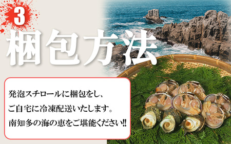 バーベキューセット 大アサリ 半割6個 サザエ 3個 冷凍 セット 詰め合わせ BBQ あさり さざえ 貝 貝類 かい 貝 かい さざえ