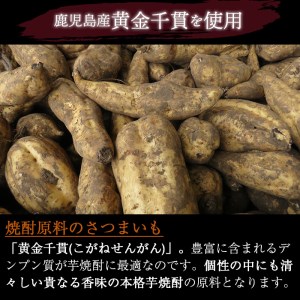 i494 鹿児島本格芋焼酎！天守の雫(900ml×12本・アルコール度数25度)紫尾山の水と黄金千貫で仕込んだ焼酎！ 芋焼酎 焼酎 お酒 アルコール 本格焼酎  紫尾山 黄金千貫 家飲み 宅飲み 紫尾