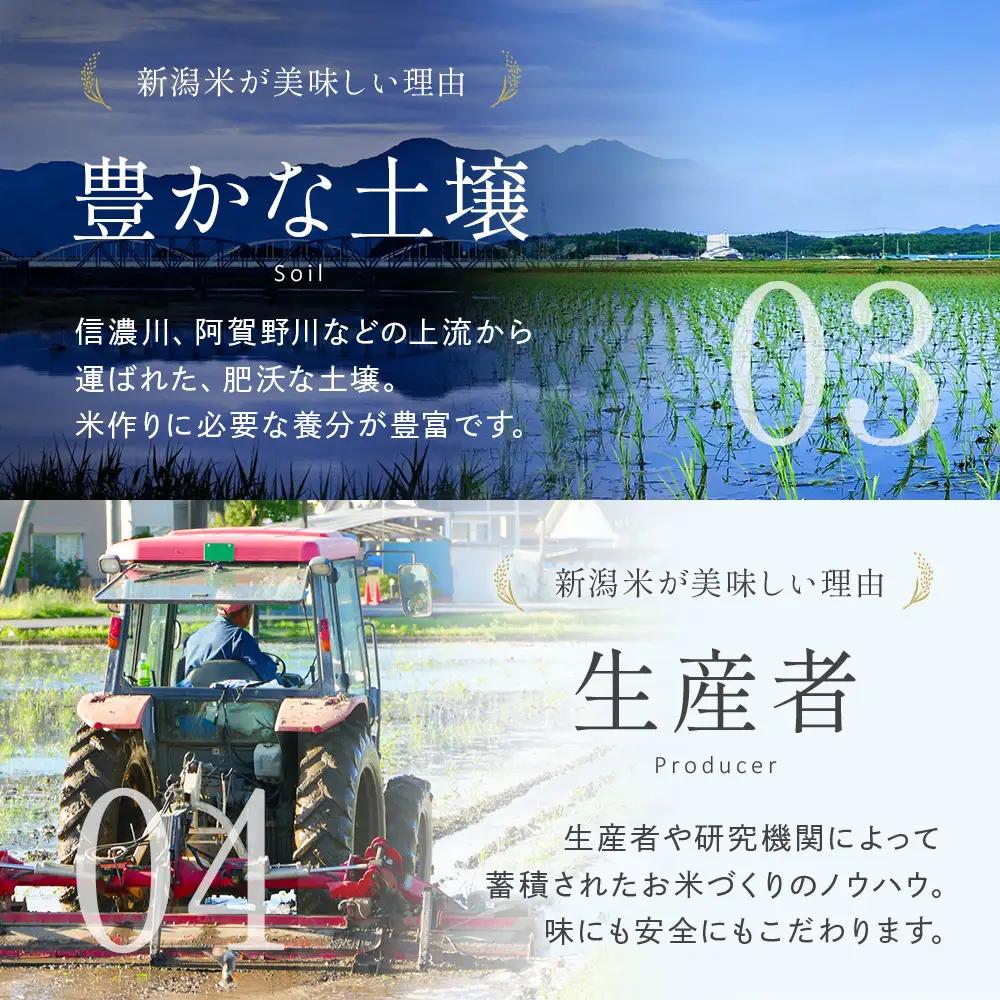 米 令和8年産【無洗米】新潟県産 コシヒカリ 2kg