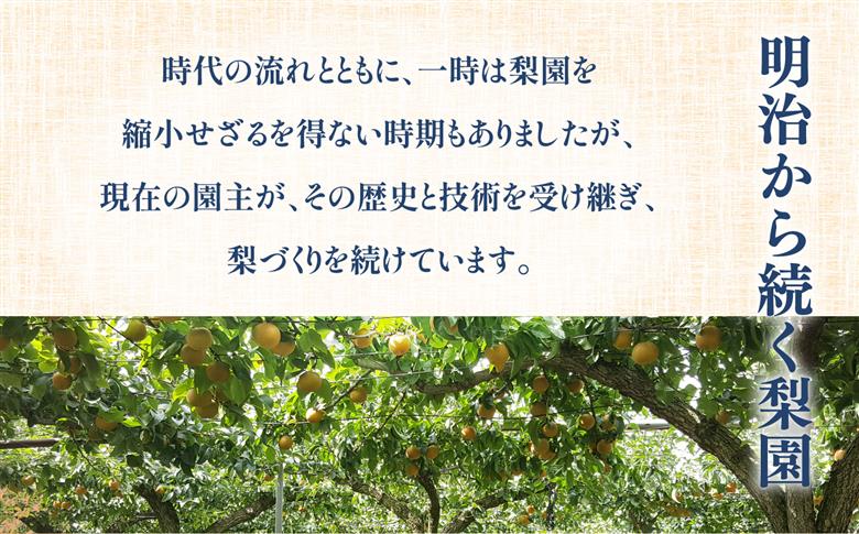 【先行予約】福島県いわき市産 梨(豊水) 約5kg | 梨 豊水 いわき市産 岡田梨園 約5kg 先行予約 期間限定 果物 フルーツ 和梨 国産 新鮮 産地直送 甘い 濃厚果汁 ジューシー 瑞々しい 