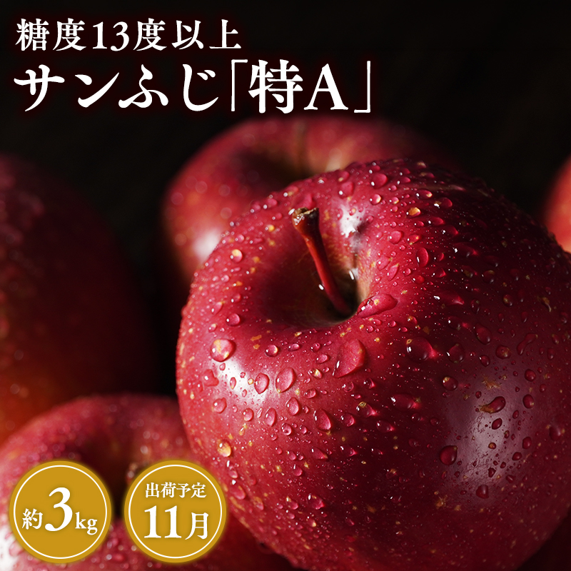 11月 サンふじ約3kg 糖度13度以上 【青森県 平川市 森山商店 】 