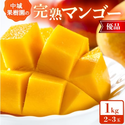 【2026年7月から順次発送・化粧箱】中城果樹園の完熟マンゴー 優品1.0kg(2～3玉)【配送不可地域：離島】