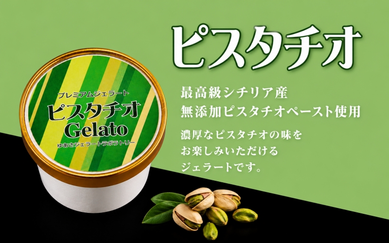 プレミアムジェラート／ピスタチオ 12個セット／ジェラート シャーベット アイスクリーム 100ml ／ゆあさジェラートラボラトリー 紀伊国屋文左衛門本舗【ntb700-11】