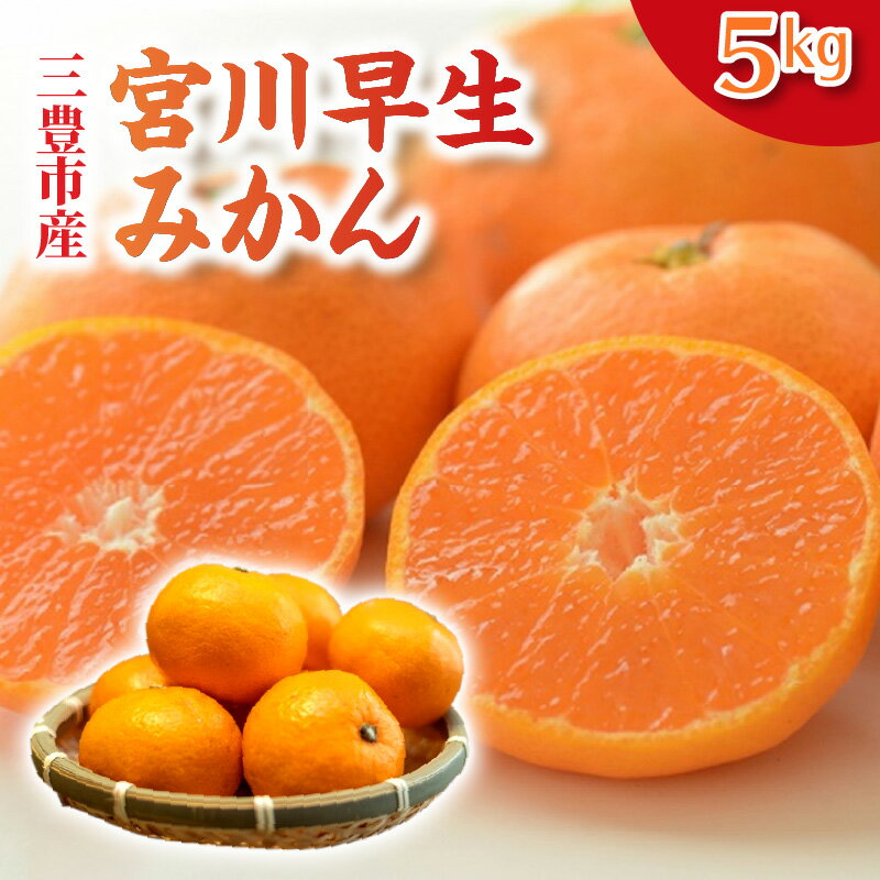 【ふるさと納税】【配送不可地域：北海道・沖縄県・離島】みかん 宮川早生みかん S〜Lサイズ 5kg 三豊市産 形 まるっこい 甘み 酸味 バランス 良い 地元でも評判 フルーツ 果物 果実 デザート 柑橘 瀬戸内式気候 香川県 三豊市 お取り寄せ お取り寄せグルメ 送料無料