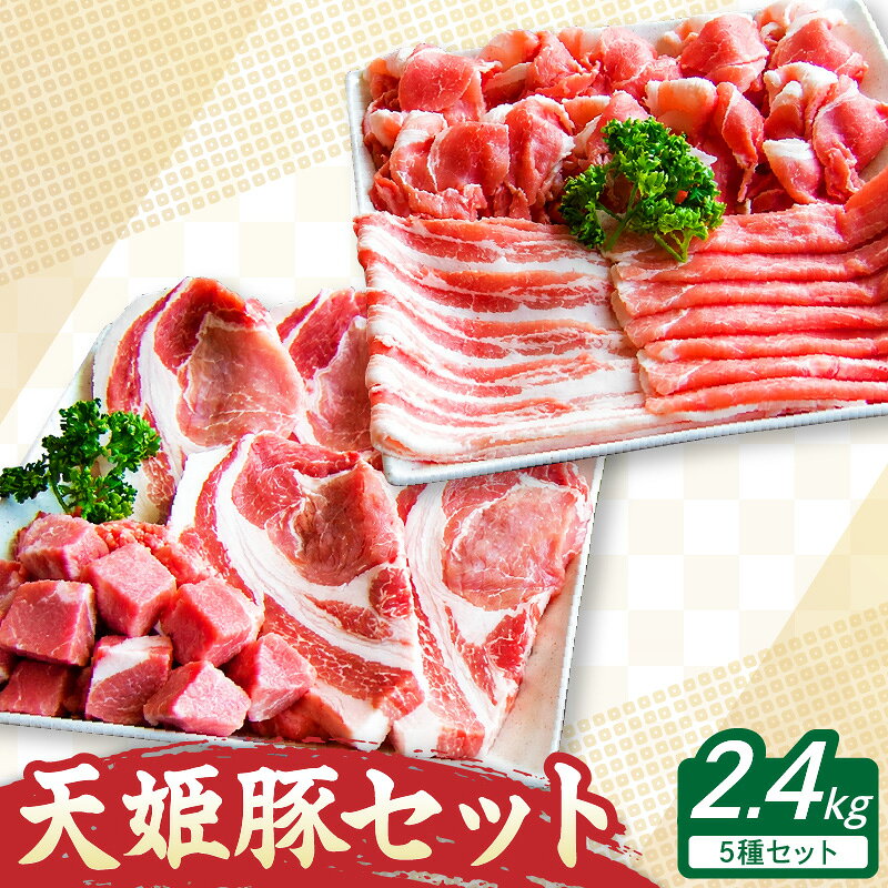 【ふるさと納税】数量限定 天姫豚 セット 2.4kg 肉 国産 豚肉 ブランド豚 もも かた バラ ロース 厚切り バラ スライス ヒレ ブロック カレー シチュー 冷凍 米飼料 ご家庭用 お取り寄せ グルメ 詰め合わせ 食品 送料無料 なごみ農産 【 山形県 天童市 】
