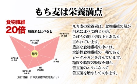 もち麦 媛もち麥 雑穀 愛媛県産 もち麦【1kg×3袋】