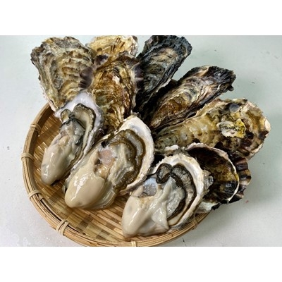
                  ＜生食用＞深層水仕込みの殻付き真牡蠣　10個セット【1204141】
                