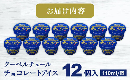 チョコレートアイスクリーム 12個入 アイス / アイス アイスクリーム カップアイス 冷凍 チョコ チョコレート カカオ 濃厚 ベルギー産 詰め合わせ セット デザート スイーツ おやつ 高知 アイ