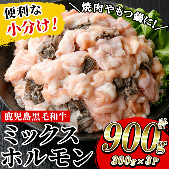 【ふるさと納税】≪小分けタイプ≫黒毛和牛ミックスホルモン(計900g・300g×3P) 牛肉 焼き肉 ほるもん ホルモン炒め モツ もつ 内臓 国産 九州 鹿児島県産 肉 和牛 牛 小分け こわけ 便利 贈答品 ギフト【バクロ】