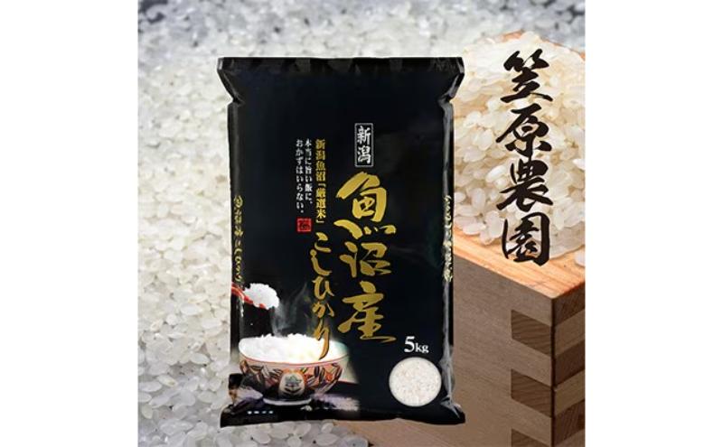 令和7年産　魚沼産コシヒカリ 5kg | 米 コメこしひかり 精米 ブランド米 お取り寄せ 十日町市