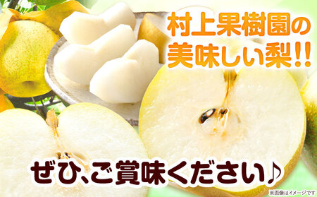 梨 なし 荒尾梨 約1.8～2kg 果物 和梨 村上果樹園 あきづき 甘太 秋麗 【品種の指定不可】 《8月上旬-9月末頃出荷》熊本県 荒尾市 2kg 前後 果物 フルーツ 旬 荒尾市産 国産 冷蔵 