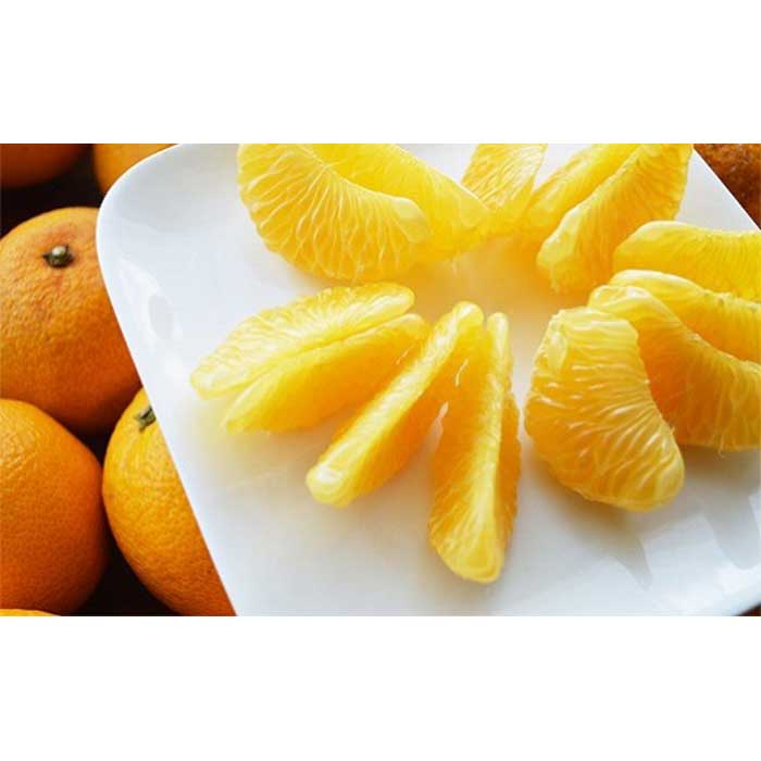 【ふるさと納税】和歌山県産 八朔 秀品 箱込約5kg（約4.1kg＋保証分500g） | 和歌山県 和歌山市 和歌山 返礼品 お取り寄せグルメ お取り寄せ 取り寄せ グルメ フルーツ 果物 くだもの はっさく 柑橘 柑橘類 かんきつ類 特産品 ご当地 おいしい 美味しい 食べ物