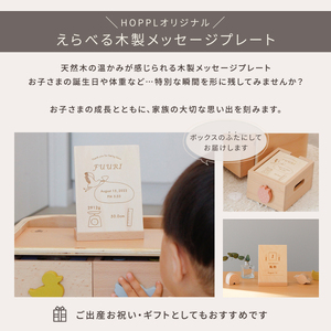 HOPPL（ホップル） スタッキングボックストイ ひこうき（型はめパズル） メッセージプレートなし（シンプルプレート）