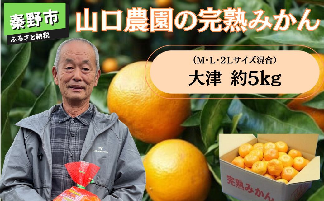 
            １月下旬から順次発送【数量限定】山口農園の完熟みかん大津（Ｍ，Ｌ，２Ｌサイズ混合）約5kg（蜜柑 甘い 完熟 家庭用 みかん 栄養 おやつ デザート 水分 果物 フルーツ 特産 産地 農園 直送 低農薬 特別栽培法 おいしい）
          