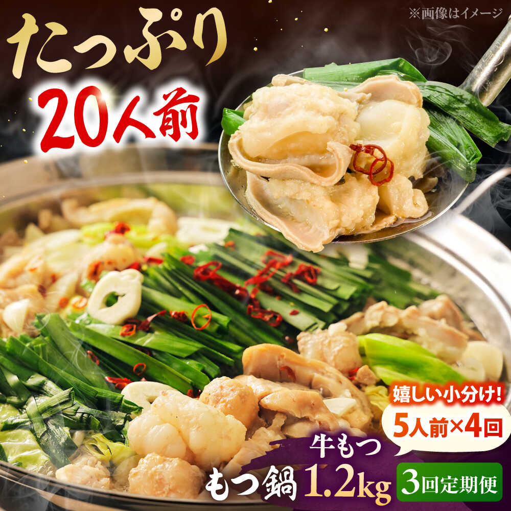 【ふるさと納税】【全3回定期便】もつ鍋セット 5人前×4回分 合計20人 ▼ モツ鍋 ホルモン鍋 醤油 冷凍 鍋 美味しいお取り寄せ 人気 おすすめ 高評価 桂川町/株式会社チクゼンヤ[ADBZ054] 40000 以下 40000円 以下 4万円 以下