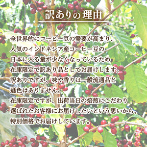 【豆】 訳あり コーヒー豆800g インドネシア 自家焙煎コーヒー豆 EW