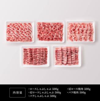 宮崎県産豚肉 小野さんちの"豚肉５種セット” 2.5kg　豚肉[E10506]