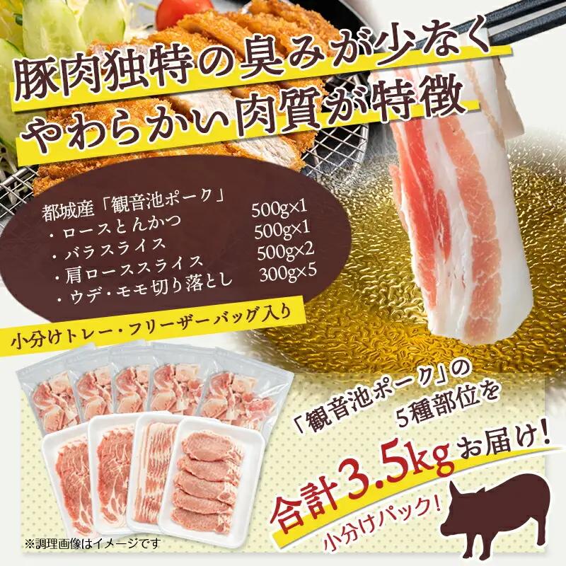 「観音池ポーク」詰合せ3.5kg〔18-1505〕_(都城市) 銘柄豚肉セット 豚ロースとんかつ用 500g 豚バラスライス 500g 豚肩ローススライス肉 500g×2 ウデ・モモ切落とし 300g