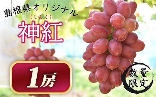 
                  【先行受付】島根県オリジナルぶどう 神紅 1房 【2026年 島根県 オリジナル 品種 ブドウ 葡萄 ぶどう 種なし 皮ごと 先行予約 高糖度 甘い おすすめ お取り寄せ 安来市】【28-WK-02】
                