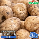 【ふるさと納税】じゃがいも 男爵 5kg いも おいも 芋 イモ ジャガイモ ポテト だんしゃく オンライン 申請 ふるさと納税 北海道 留寿都 野菜 根菜 産地直送 新鮮 採れたて ポテトサラダ コロッケ マッシュポテト 5キロ 留寿都村【24014】