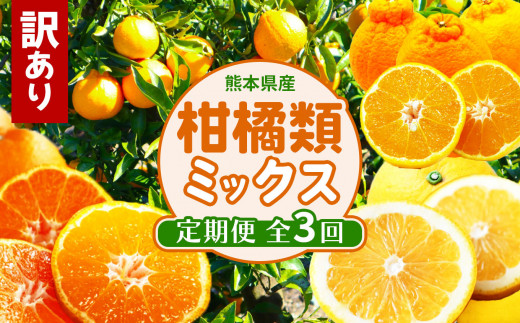 【 定期便 3回 】 おためし 訳あり 柑橘類 定期便 みかん 不知火 河内晩柑 後藤農園 | フルーツ 果物 くだもの 柑橘 ご家庭用 家庭用 熊本県 玉名市
