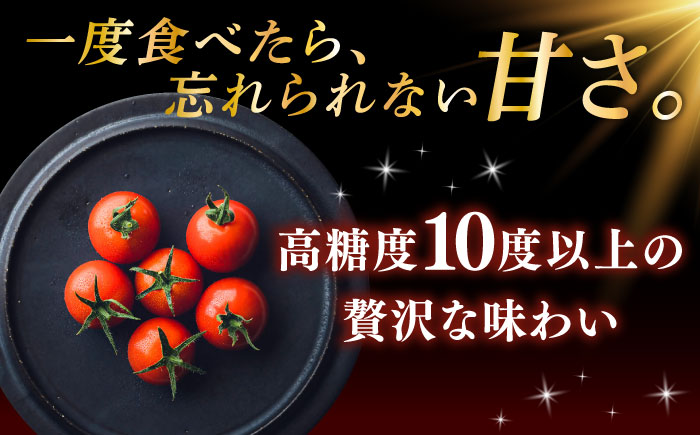 トマト 糖度10度以上 800g【株式会社ブイ・テクノロジー】 [AKBL005]