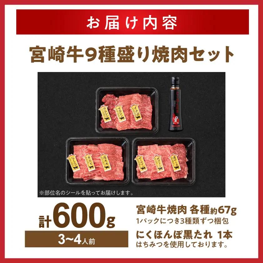 牛肉 【数量限定】 宮崎牛 9種盛 焼肉セット〔22-31-006-600g〕_(都城) 牛肉