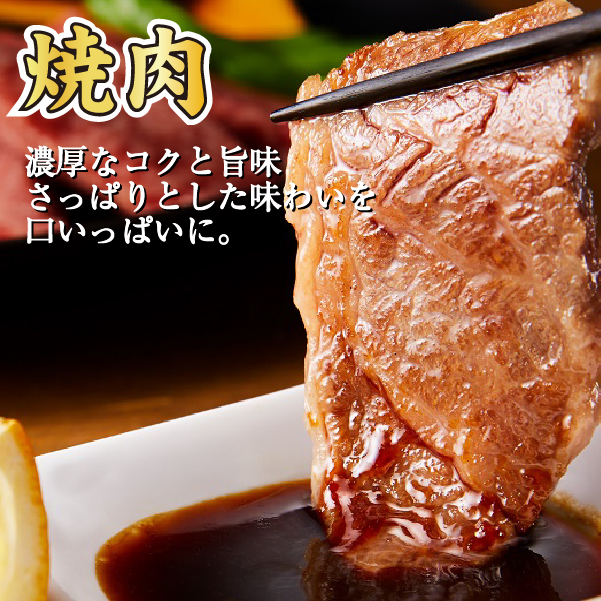 【人気精肉店からお届け】宮崎和牛 赤身焼肉 ＆ 赤身サイコロステーキセット 計1kg_イメージ2