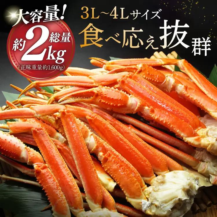 本ずわいがに 脚 3L～4L 総重量 2kg かに 蟹 カニ 