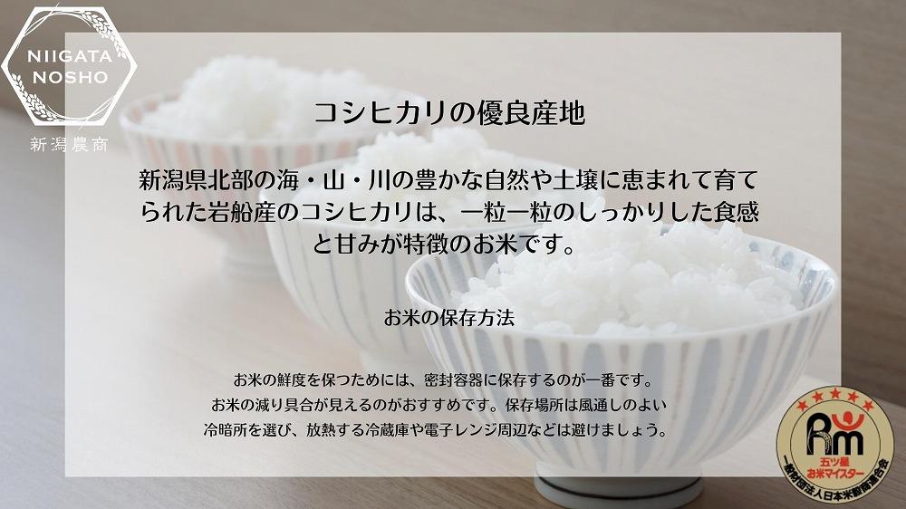新潟県岩船産コシヒカリ　5kg×2