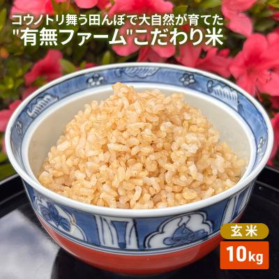 ふるさと納税 加西市 コウノトリ舞う田んぼで大自然が育てた有無ファームこだわり米 玄米 10kg[No5698-2791]