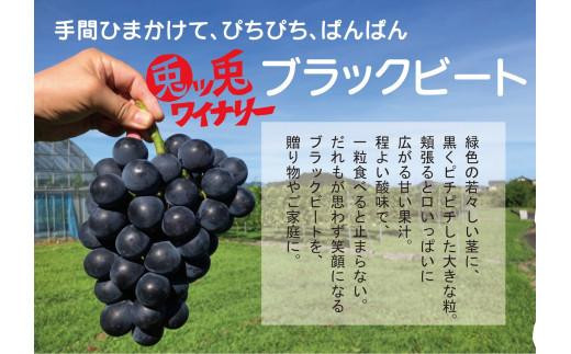 
                  ぶどう ブラックビート 2kg (進物用)
                