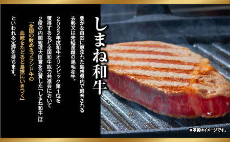 しまね和牛 希少 最高峰 シャトーブリアン 400g（200g×2枚）／ ヒレ肉 和牛シャトーブリアン ブランド肉 シャトーブリアンのステーキ 国産シャトーブリアン