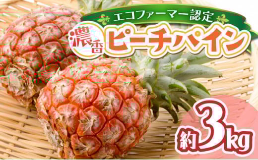 濃香ピーチパイン 約3kg 【E】★絶品★　2025年 先行予約 栽培期間中 農薬不使用 西表島 濃香 初エコファーマー認定【036-a002】
