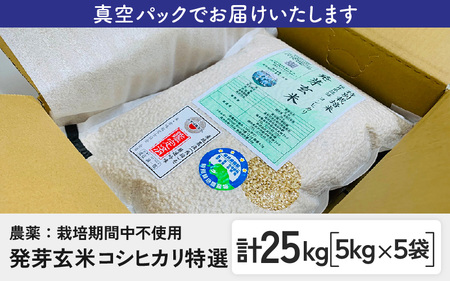 【令和7年産】発芽玄米 コシヒカリ「特選」特別栽培米使用 5kg×5袋（計25kg）【米 こしひかり 玄米 ギャバ GABA 特別栽培 食物繊維 栄養 真空パック ごはん ご飯 おいしい ふるさと納税