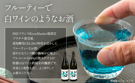 【６回定期便】純米吟醸いとをかし生酒 720ml×2本 - お酒 さけ 酒 日本酒 米 飲み物 飲料 アルコール 晩酌 フルーティー 特産品 ギフト 贈り物 贈答用 プレゼント お酒好き 記念日 お礼