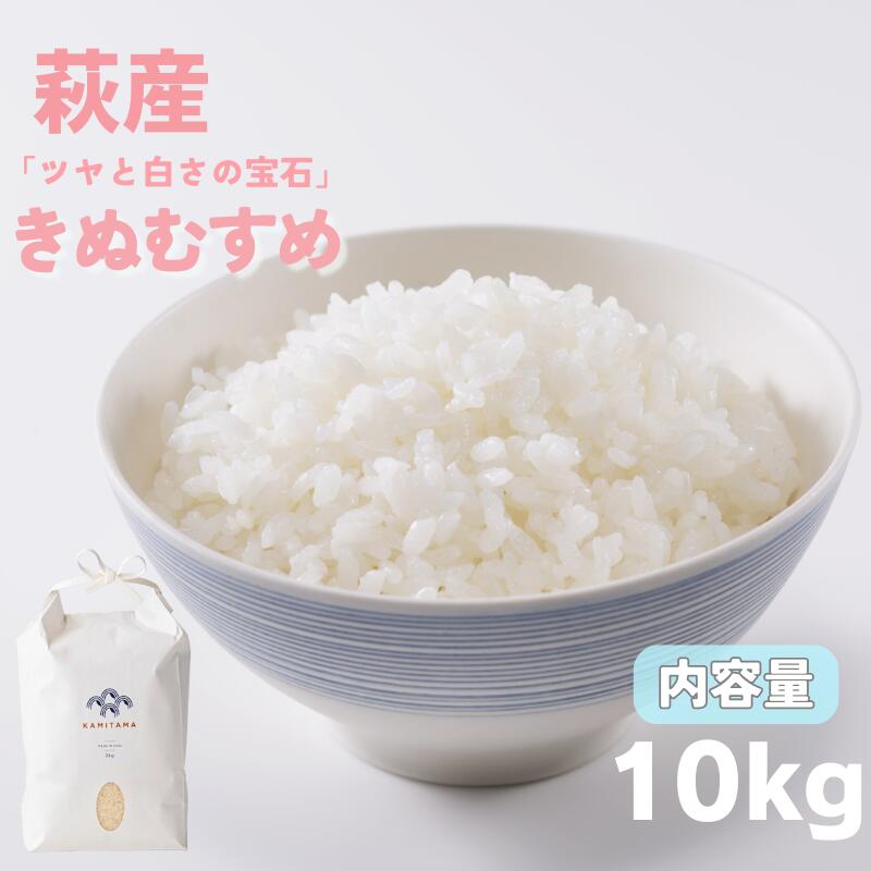 【ふるさと納税】きぬむすめ 令和7年 10kg 米 コメ こめ 萩産 KAMITAMA