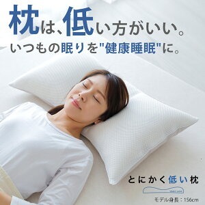 とにかく低い枕《60日以内に出荷予定(土日祝除く)》