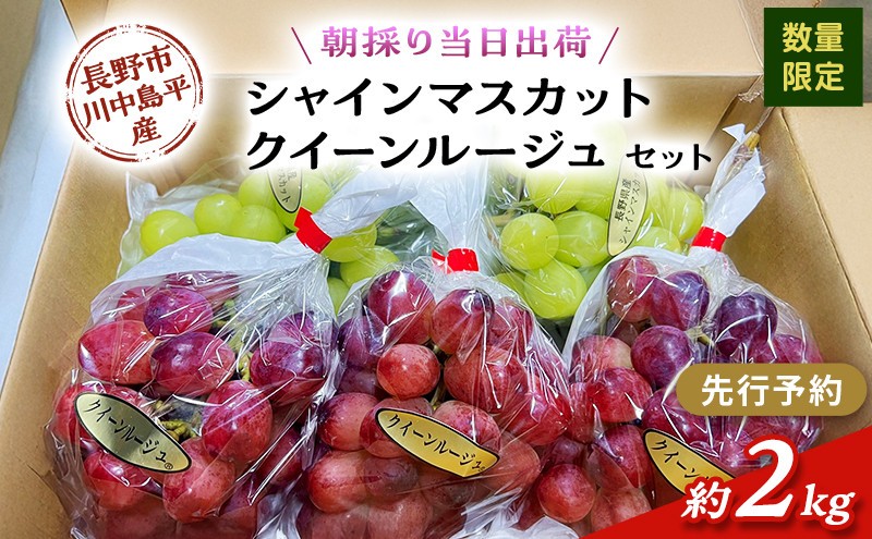 
                  【セット】シャインマスカット、クイーンルージュセット　約2kg（４～５房）
                