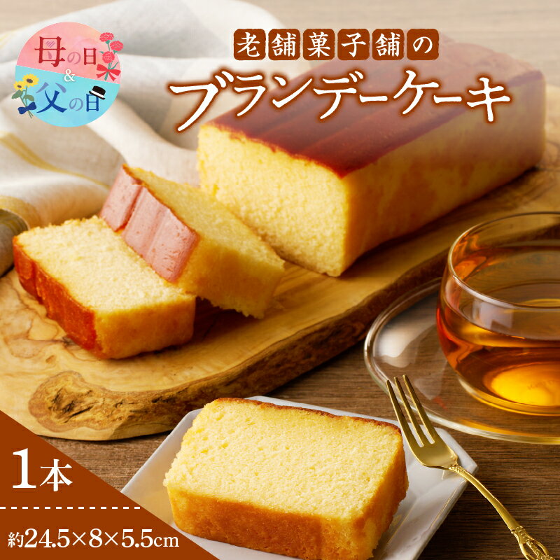 【ふるさと納税】老舗菓子舗のブランデー ケーキ お菓子 焼き菓子 スイーツ 洋菓子 母の日 父の日 本格 おやつ おかし グルメ 食品 人気 おすすめ 熟成 洋酒 ギフト お祝い 大人 デザート 手土産 おすそ分け バレンタイン ホワイトデー ご褒美 宮崎県 都農町 送料無料