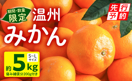 《2025年発送先行予約》【期間・数量限定】温州みかん5kg(傷み補償分200g付き) 果物 ミカン 柑橘