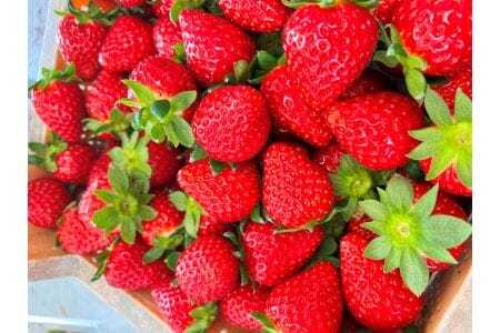 古都姫 350g 化粧箱　20-057