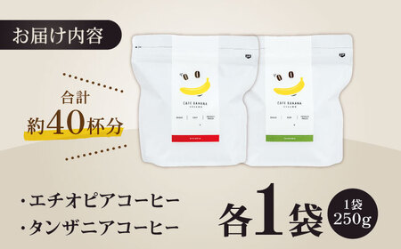 【豆のまま】自家焙煎 スペシャルティコーヒー 豆 （ 250g × 2種 ）約40杯分【かきやま果実】[ZCJ015]
