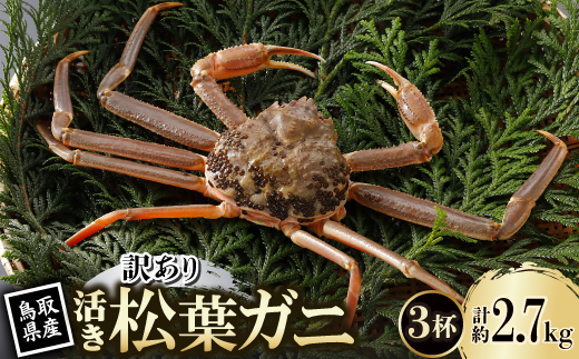 【先行予約】鳥取県産 訳あり 活 松葉がに 900g×3杯(中村商店)25年12月・26年1月発送【配送不可地域：離島・北海道・沖縄県・東北・信越、北陸】