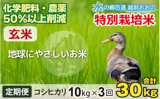 【令和7年産】【3ヶ月定期便】こしひかり 10kg × 3回 計 30kg【玄米】　減農薬・減化学肥料 「特別栽培米」－地球にやさしいお米－